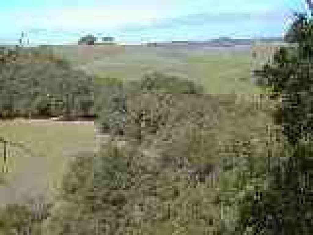 View north from Sylvan Trail