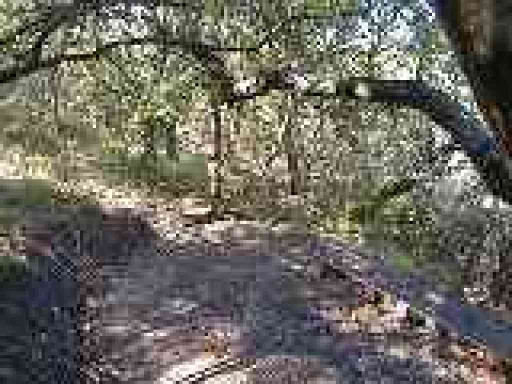 One of the eight switchbacks along this leg of Sylvan