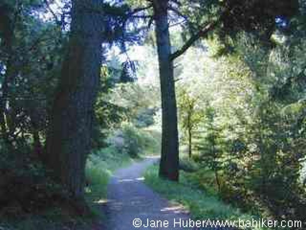Tafoni Trail