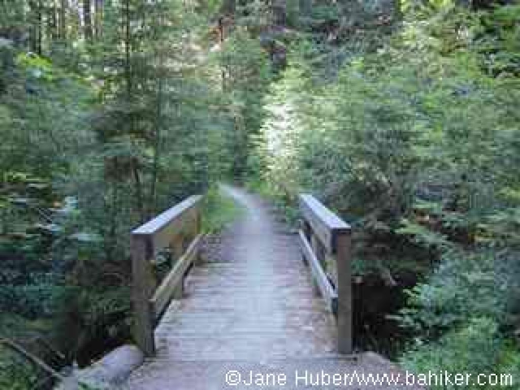 Bridge across El Corte de Madera Creek