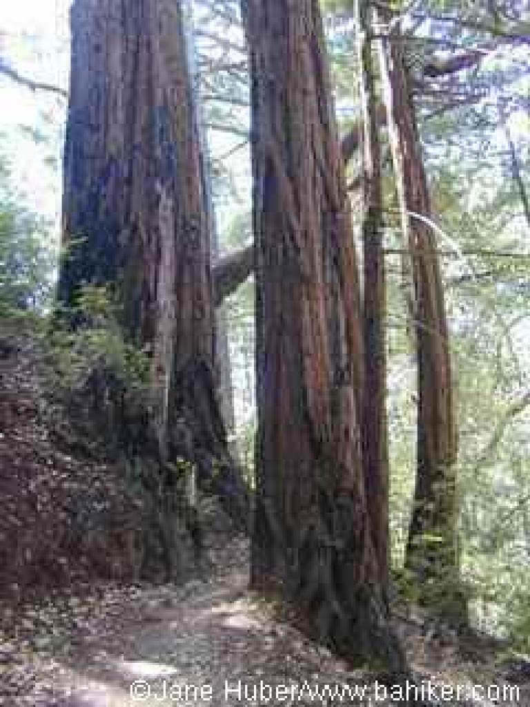 Resolution Trail