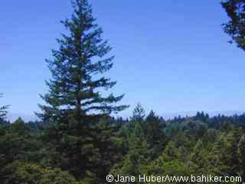 View from Resolution Trail