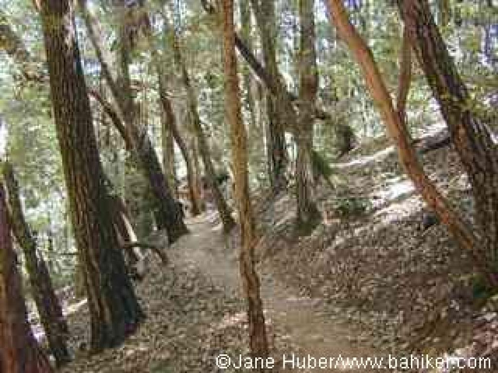 Path to the sandstone formation