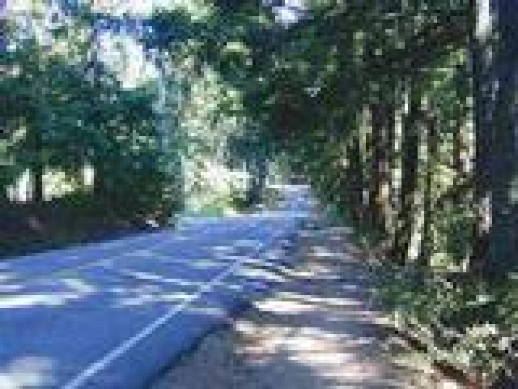 Skyline Boulevard