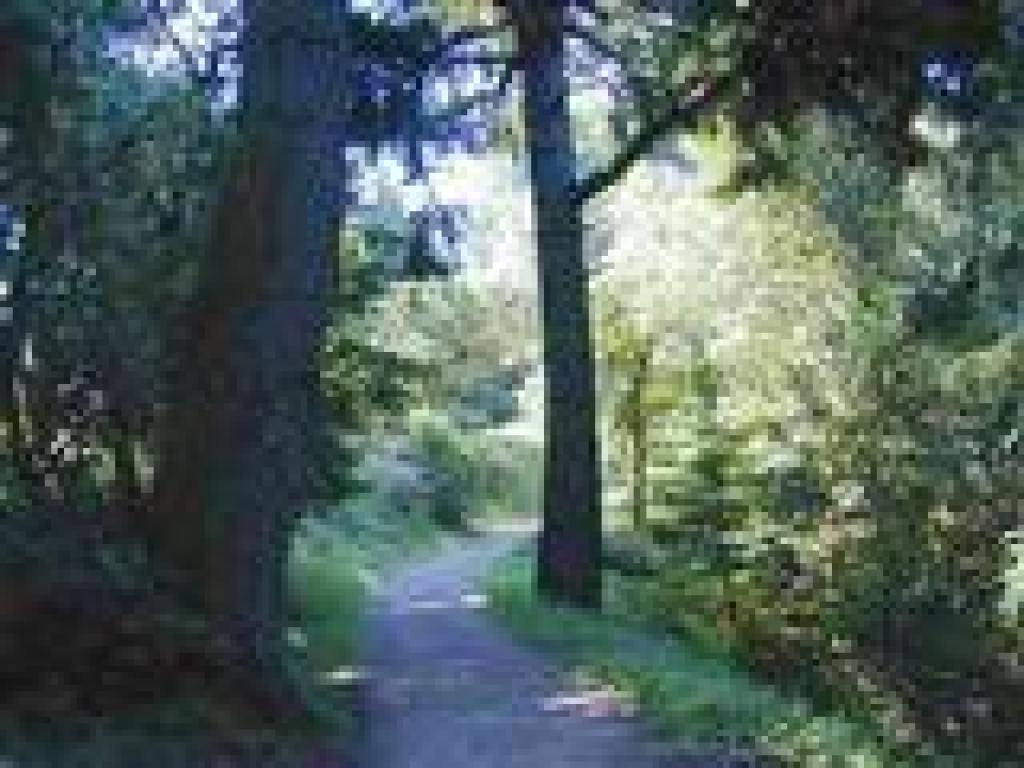 Tafoni Trail