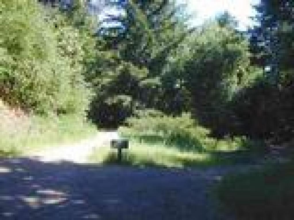 Junction