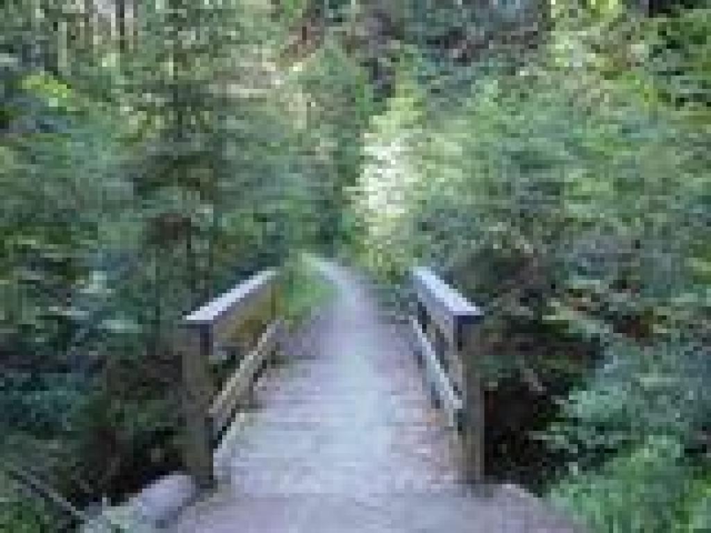 Bridge