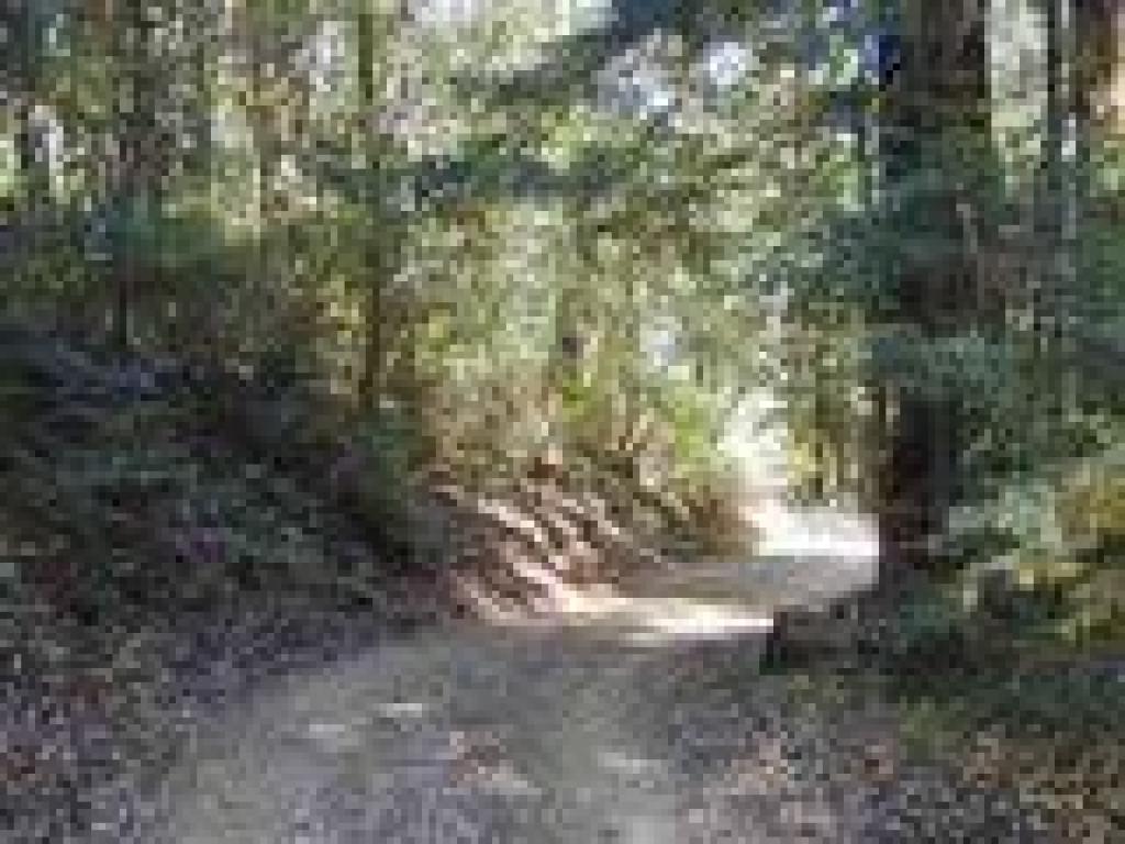 Tafoni Trail