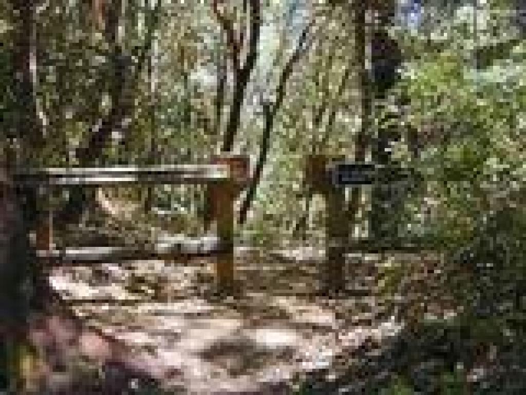 Start of path to the tafoni