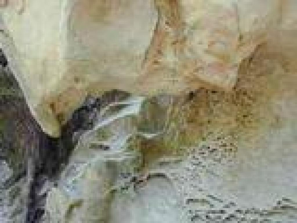 Tafoni