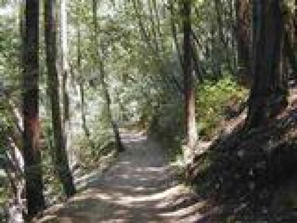 Returning on Tafoni Trail