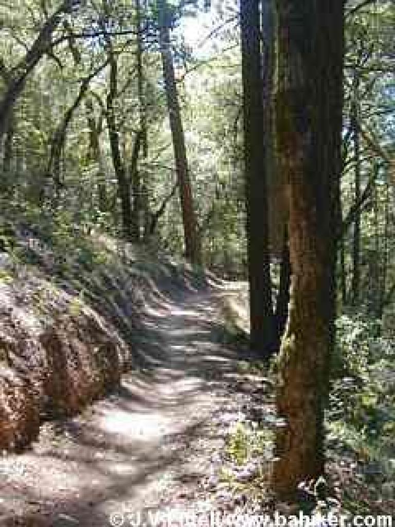 Sierra Morena Trail