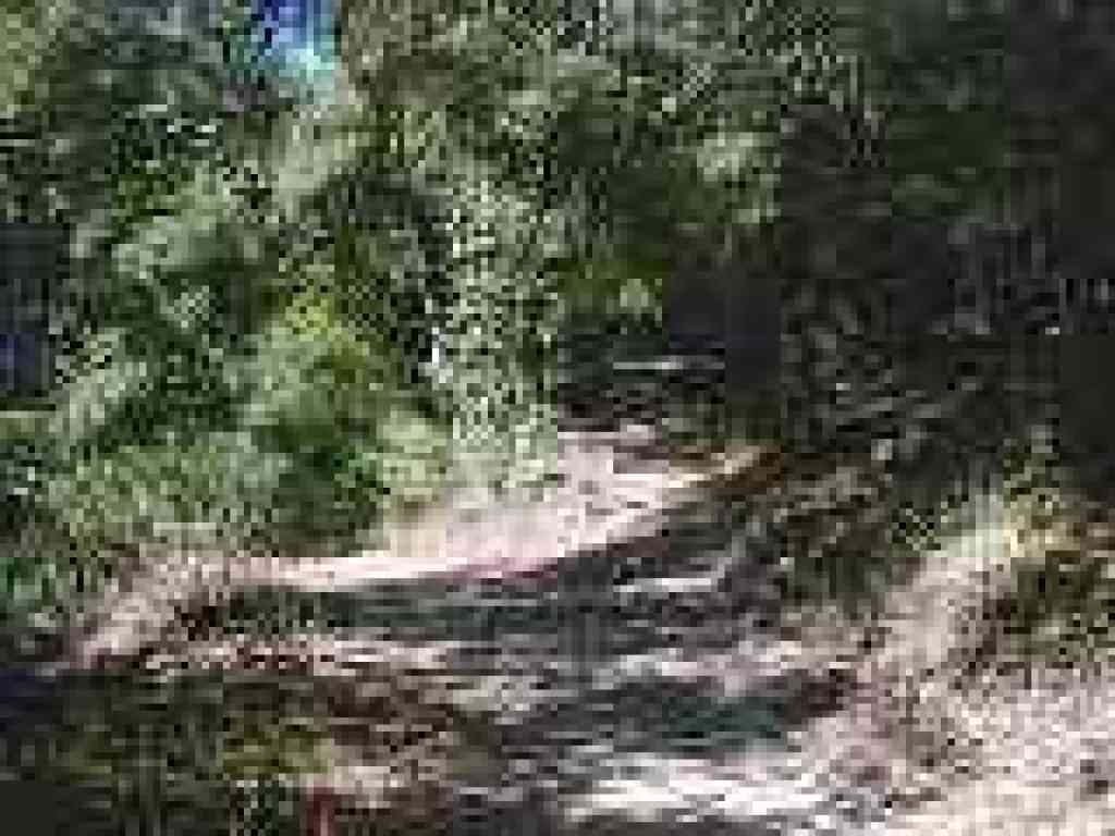 Junction