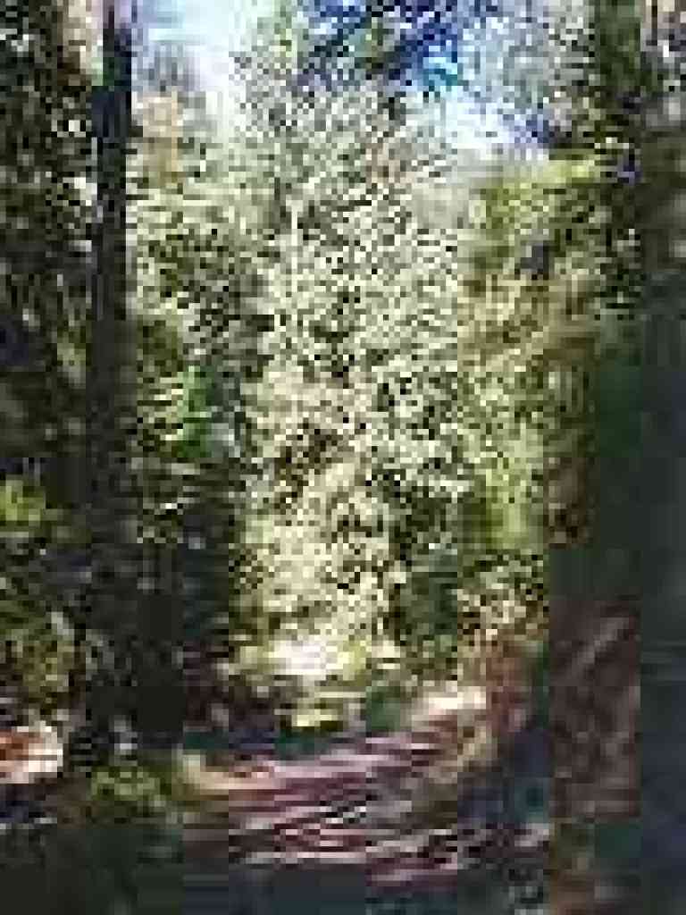 Junction