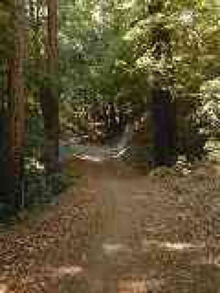Deep shade