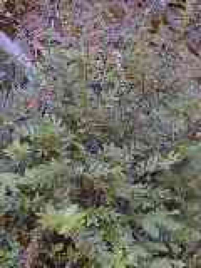 Huckleberry