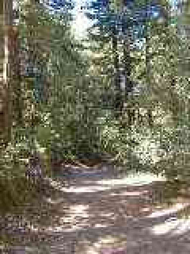Tafoni Trail