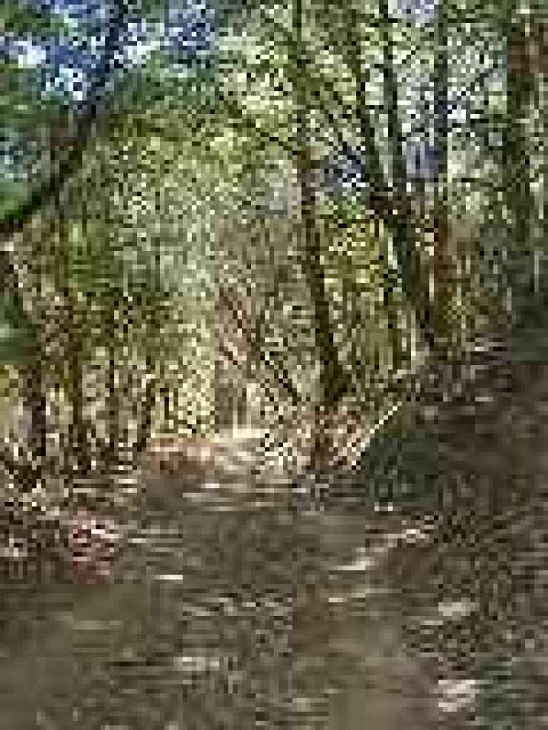 Downhill