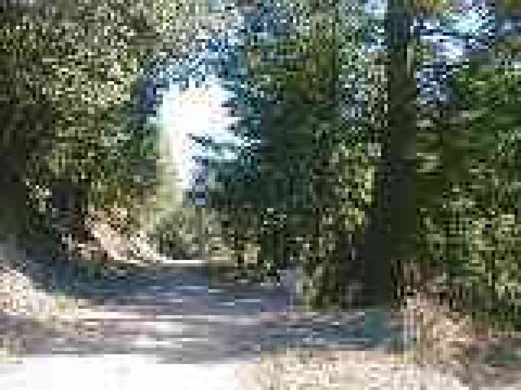 Junction