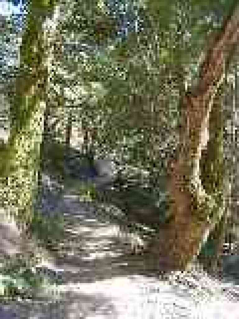 Sierra Morena Trail