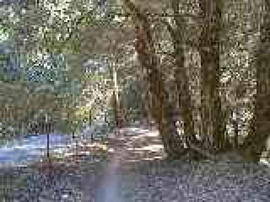 Edging along Skyline Boulevard