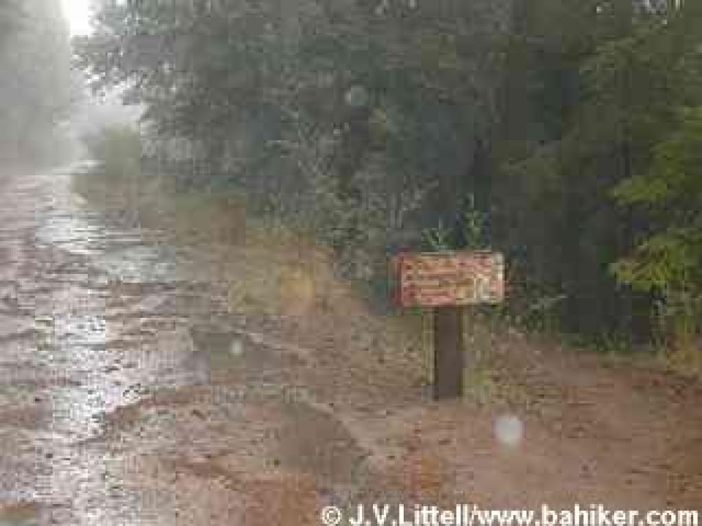Start of Sierra Morena Trail, in the rain