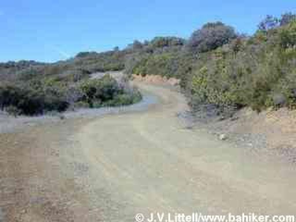 Climbing through chaparral
