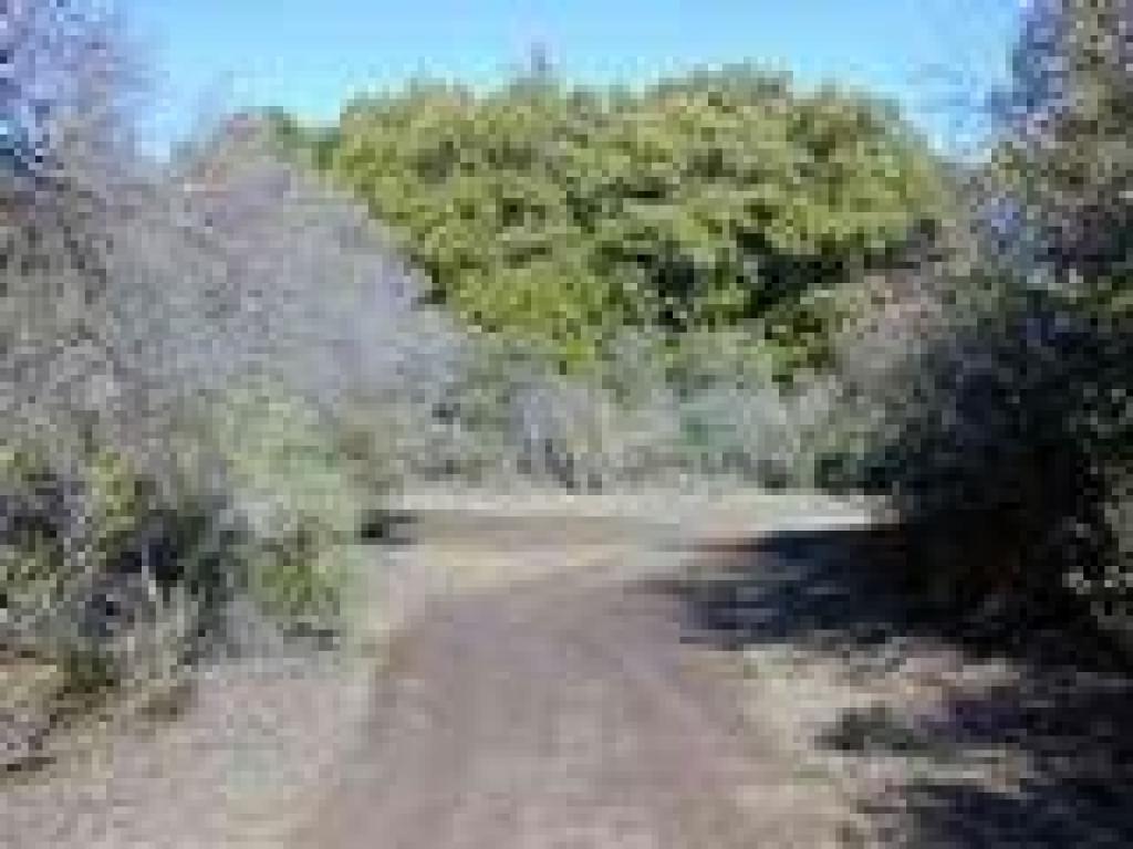 Junction