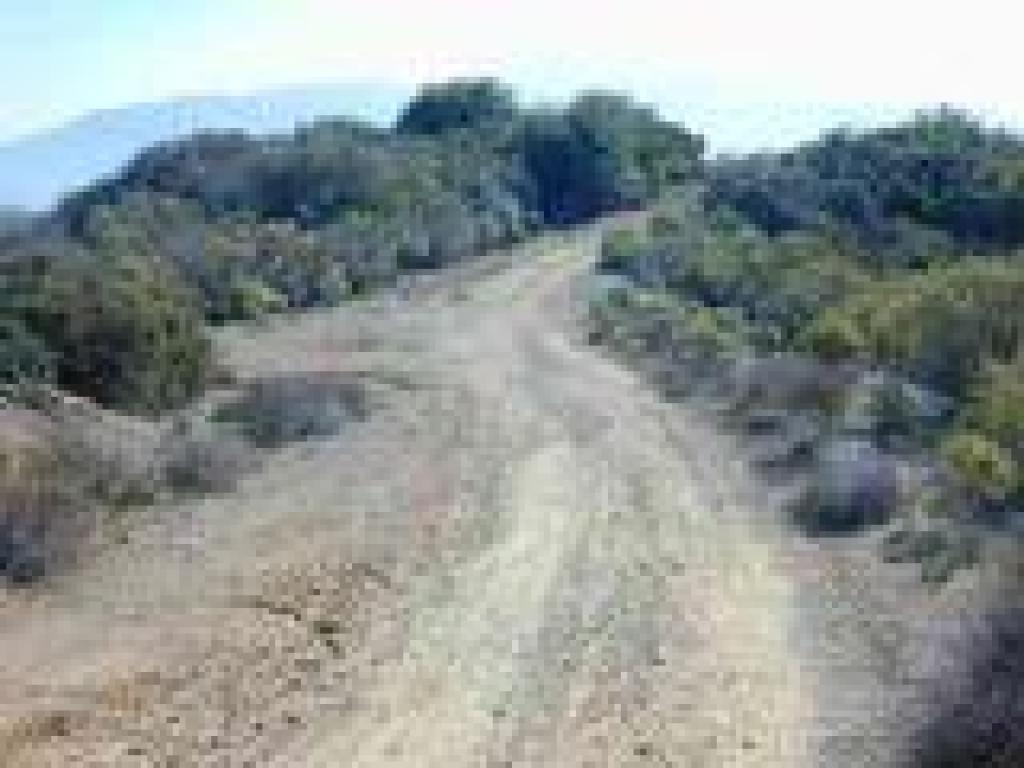 Junction