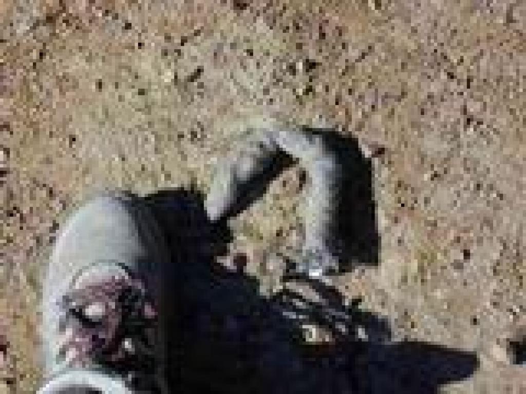 Very large scat