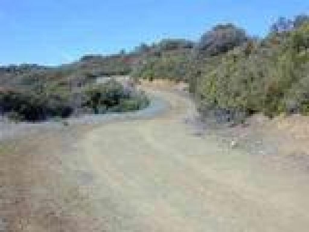 Climbing through chaparral