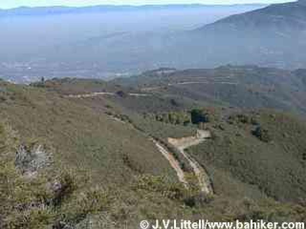 At El Sereno Open Space Preserve, entire hillsides are covered with chamise