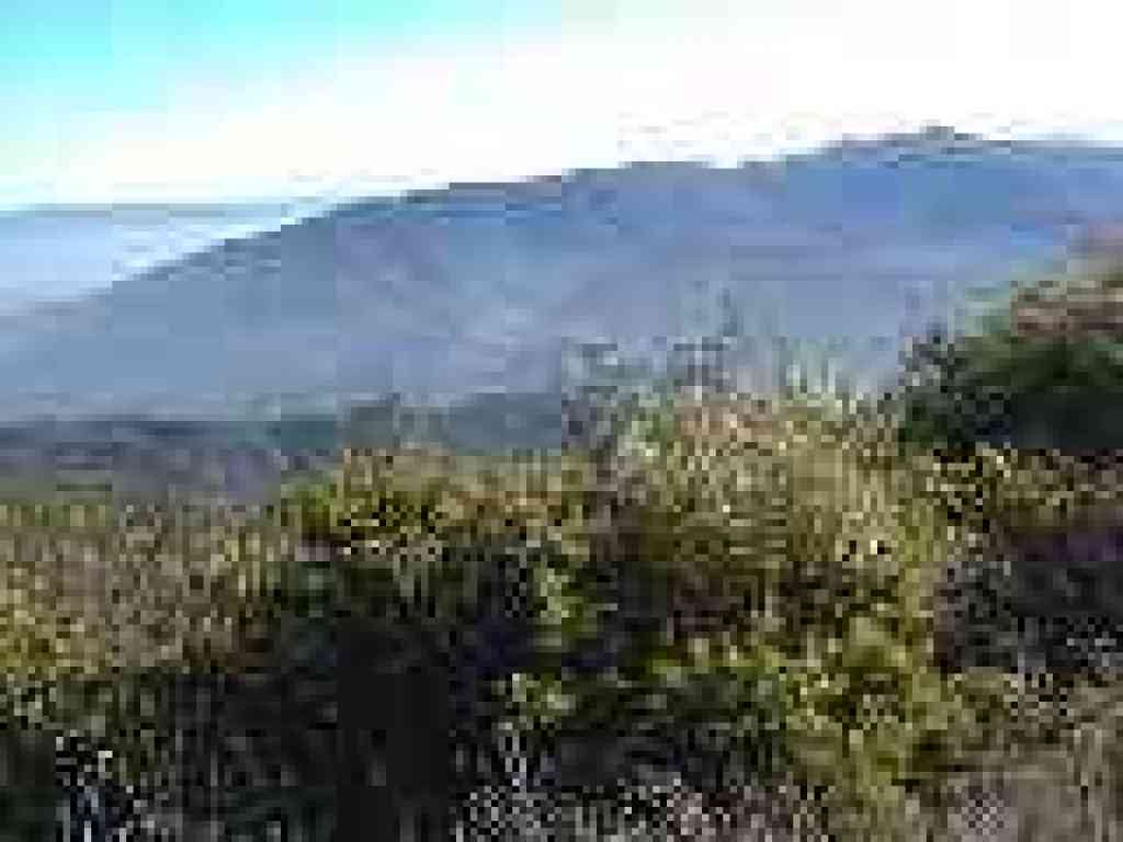 View south to Mount Umunhum
