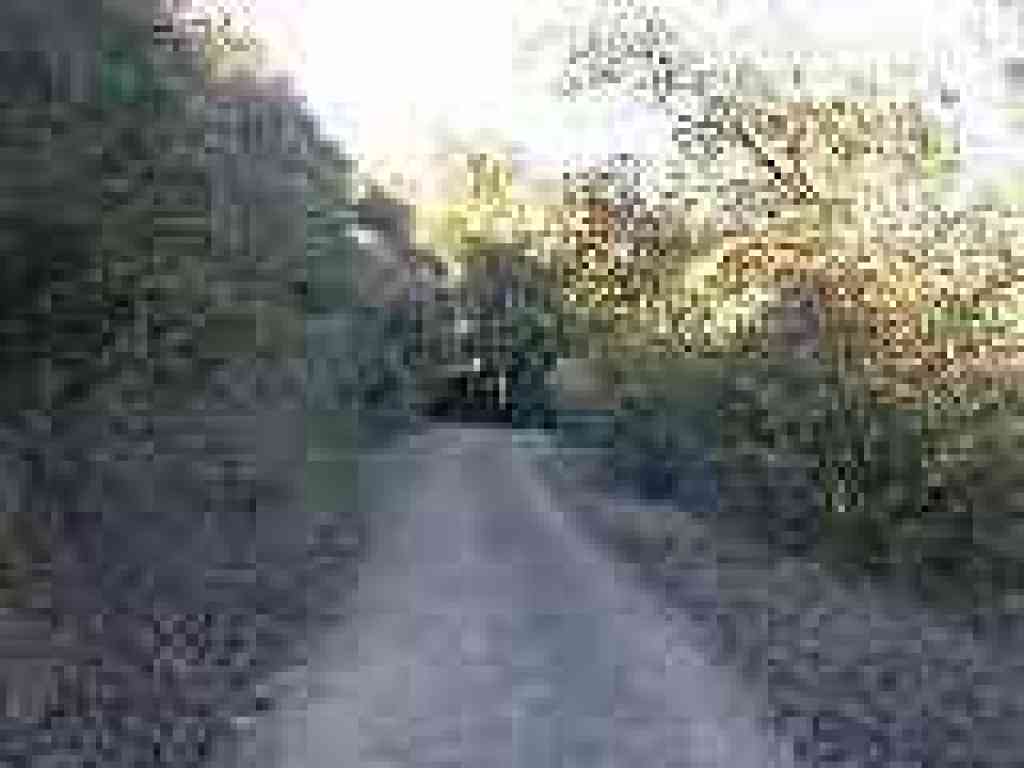 Suddenly in the shade