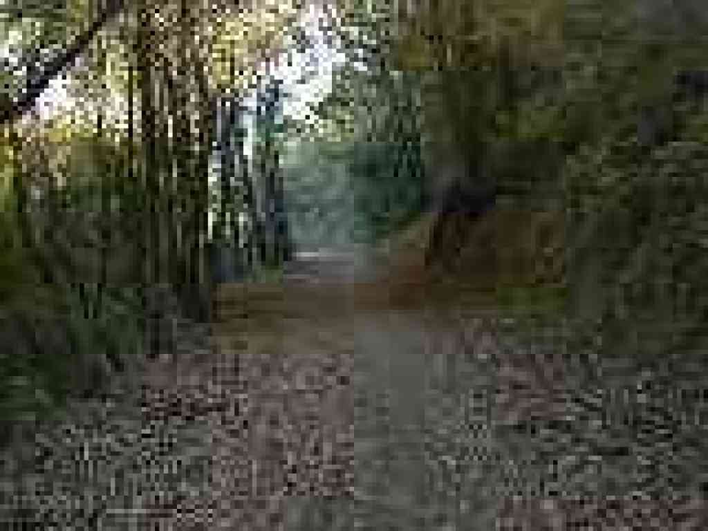 Beneath California bays