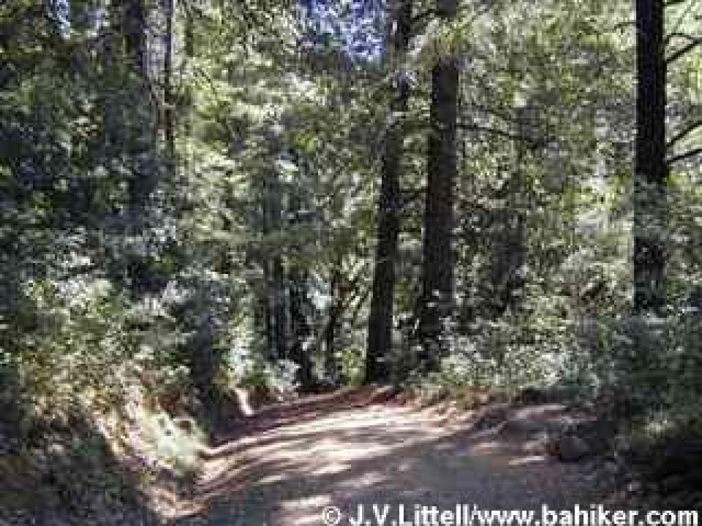 Truck Trail