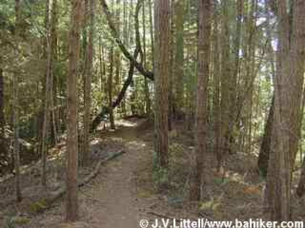 Ridge Trail