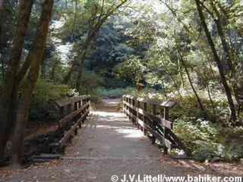 Bennett Creek Trail