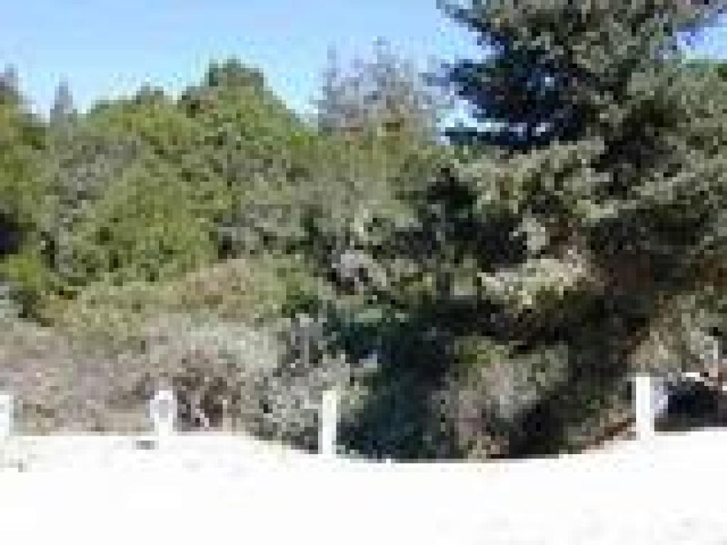 Start of Bennett Creek Trail