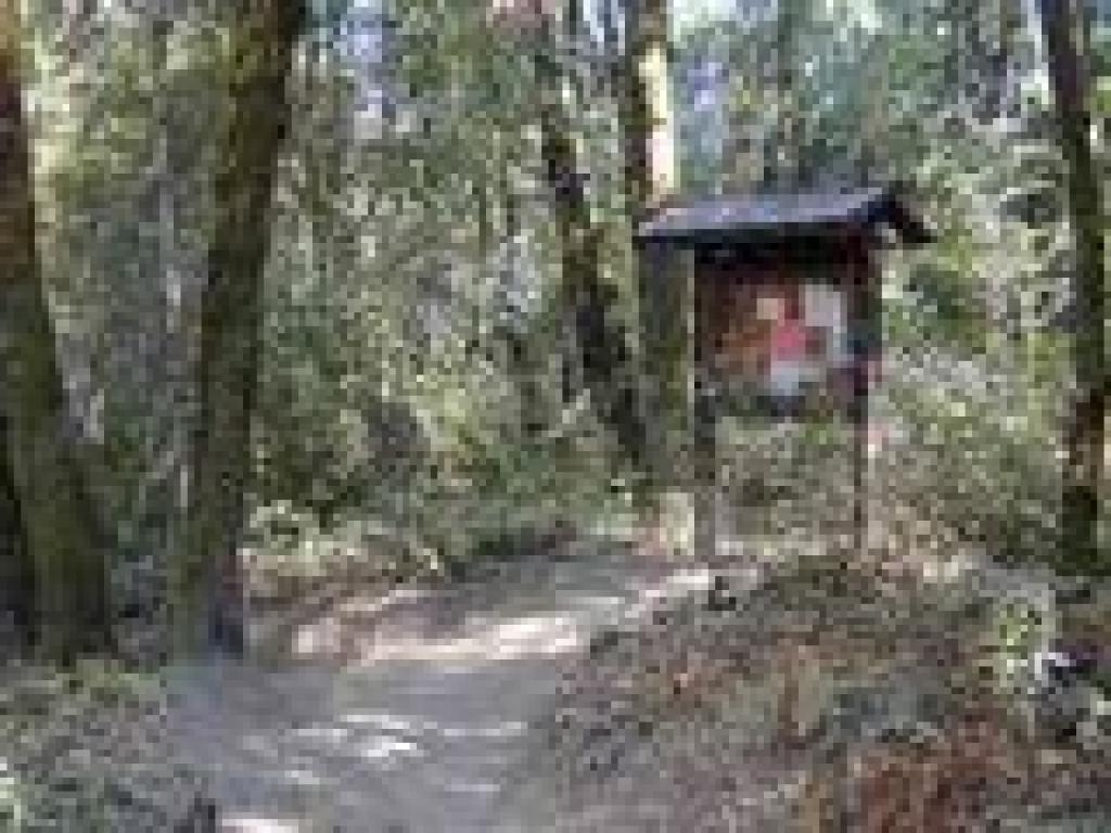 Woods and an information signboard