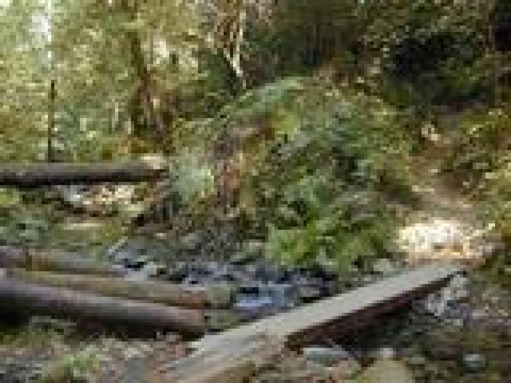 A simple plank provides a creek crossing
