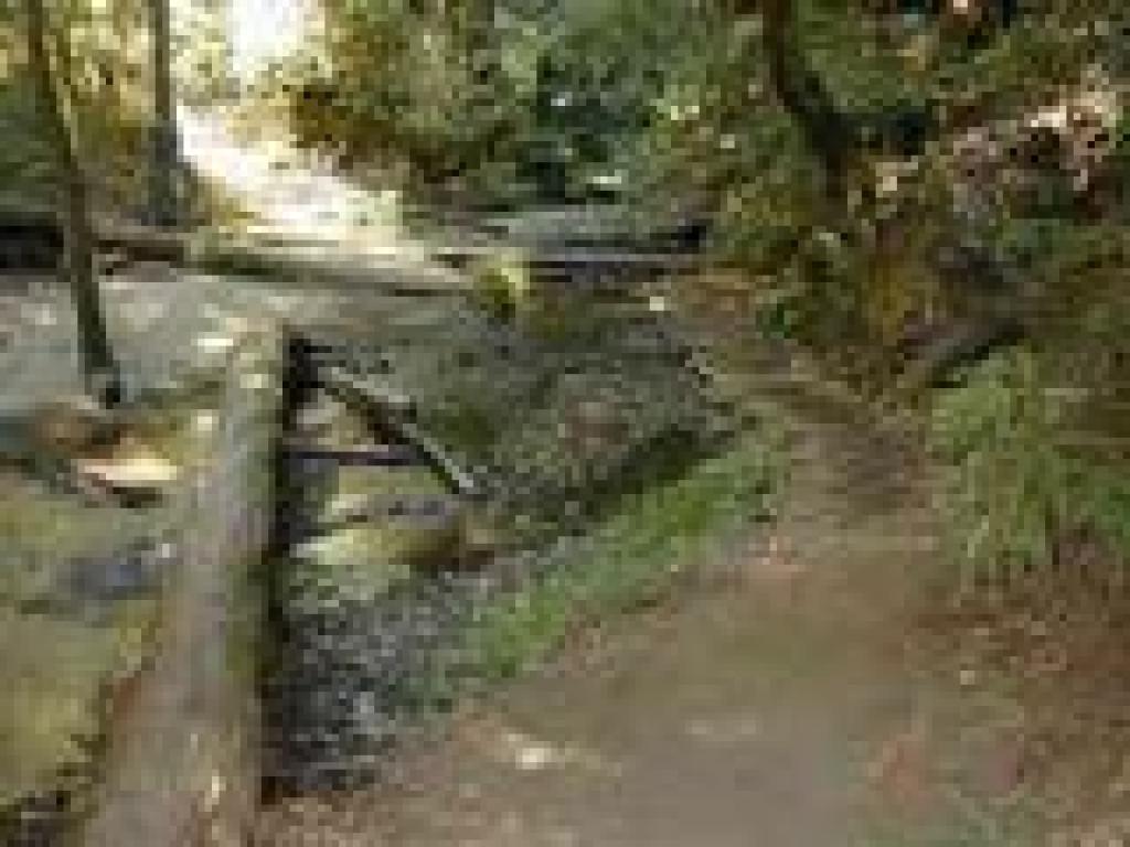 Creek crossing at a flat