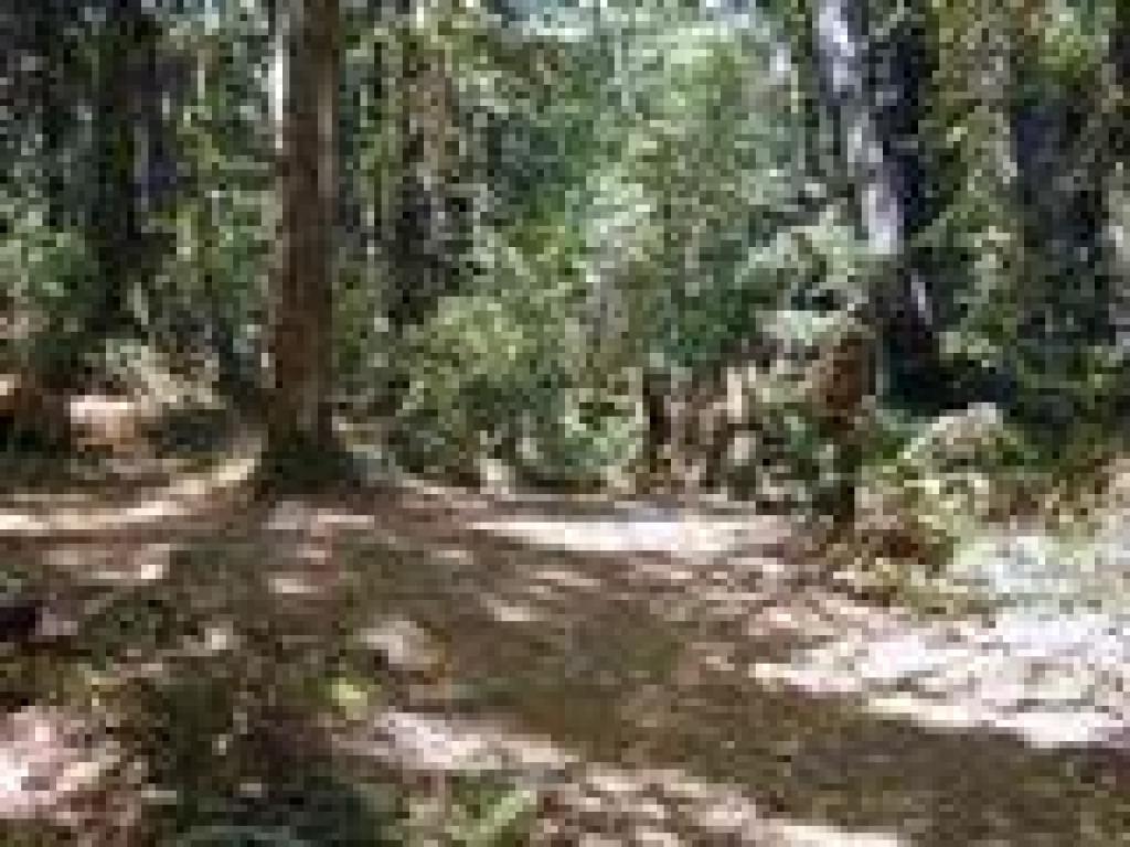 First part of junction