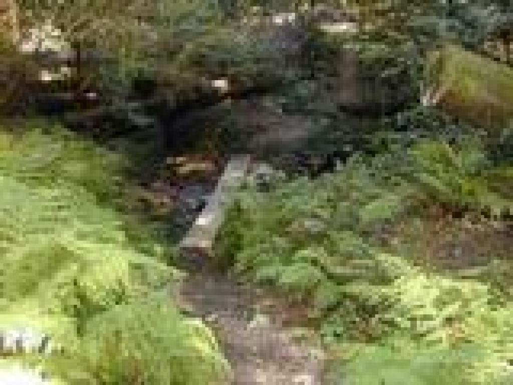 Another creek crossing