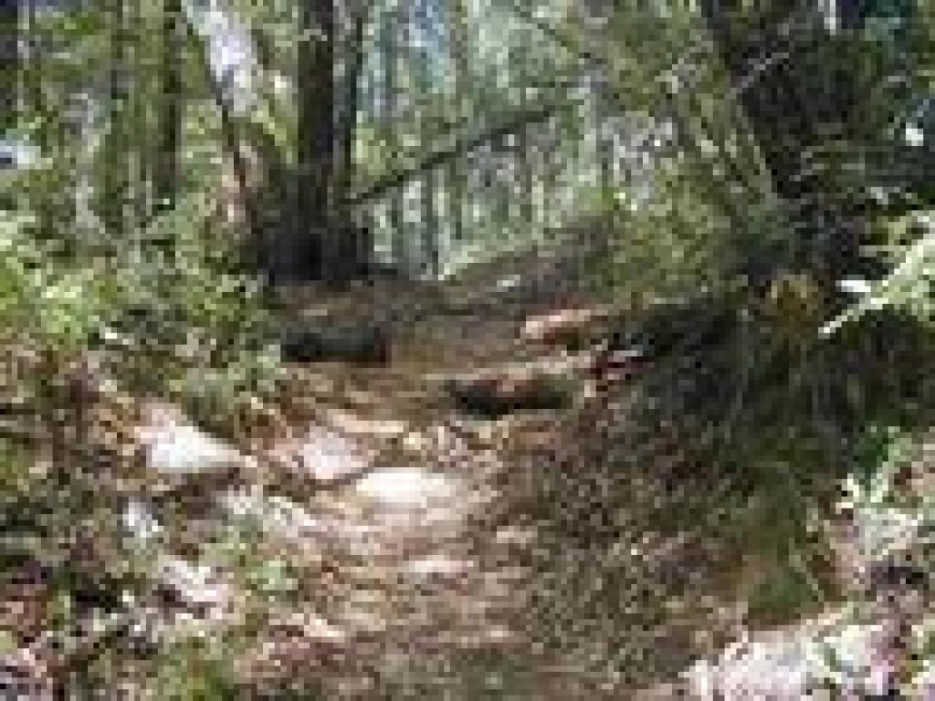Climbing on Big Ben Trail