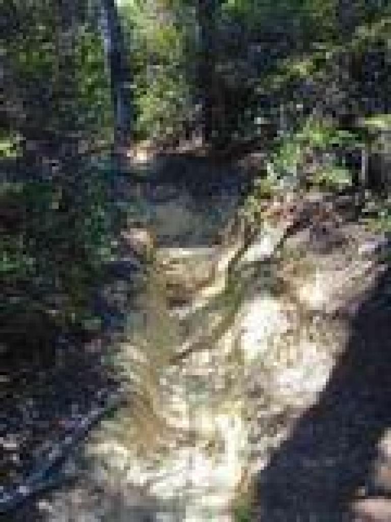 Looking back to some steps