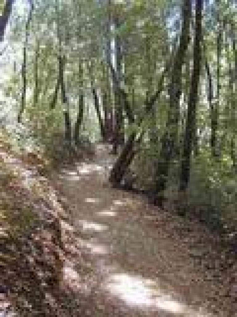 Returning to the trailhead