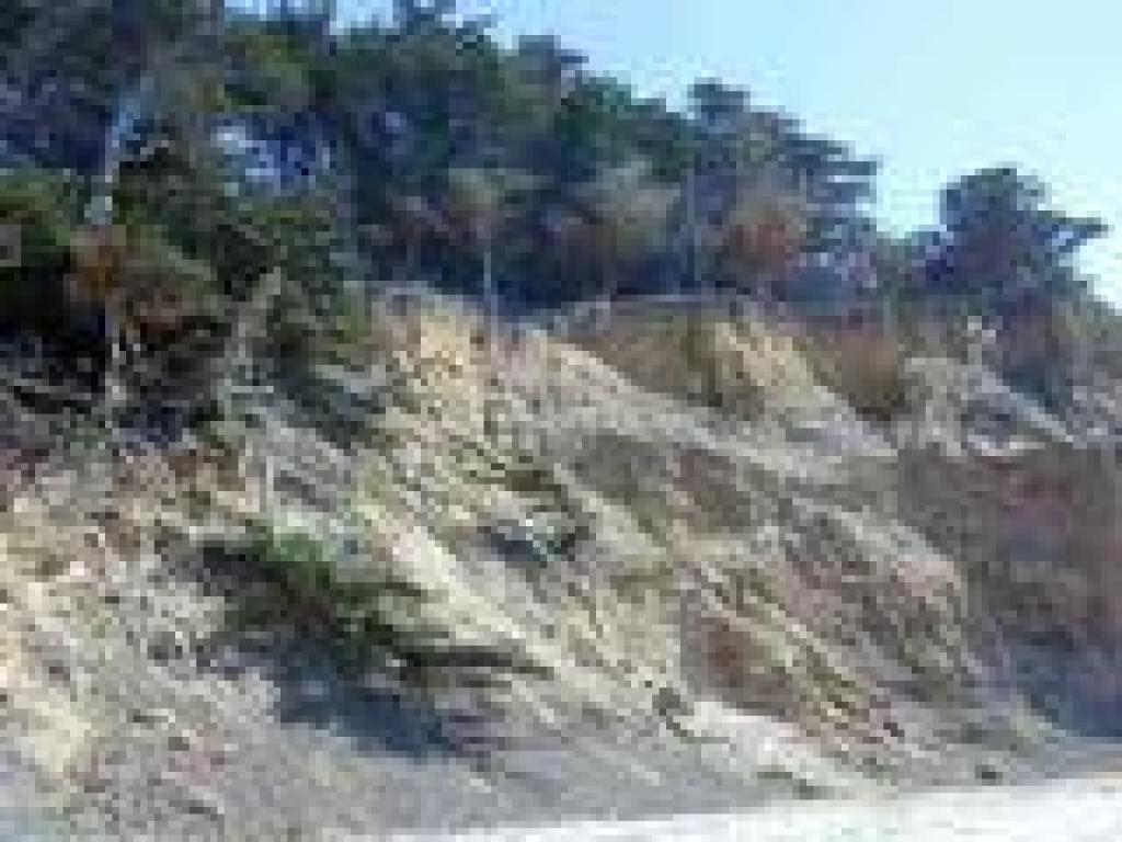 Erosive bluff