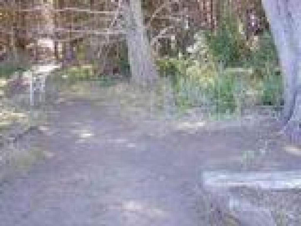 Trail splits