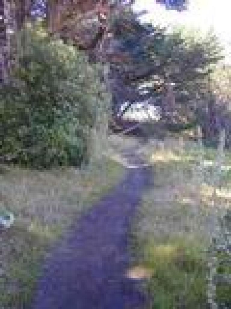 Path